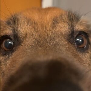 Meet your Posher, Drake